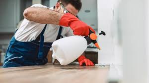 Best Residential Pest Control  in Hypoluxo, FL